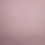 B2: Livi + 22 Body + A Free Additional Head