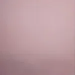 B3: Livi + Other Body + A Free Additional Head