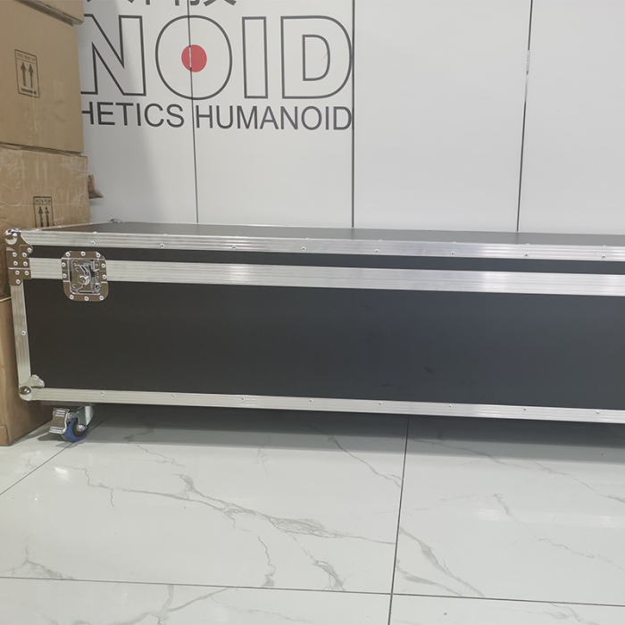 Gynoid Body23/160cm/5’3''(Anal Function)