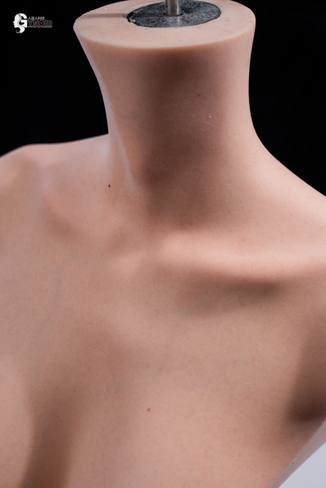 Gynoid Head Sculpt Display Stand