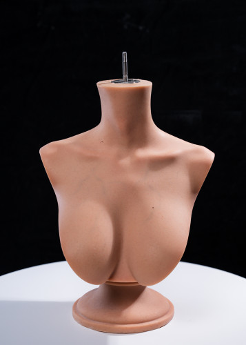 Gynoid Head Sculpt Display Stand