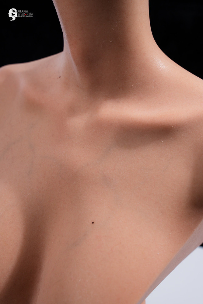 Gynoid Head Sculpt Display Stand