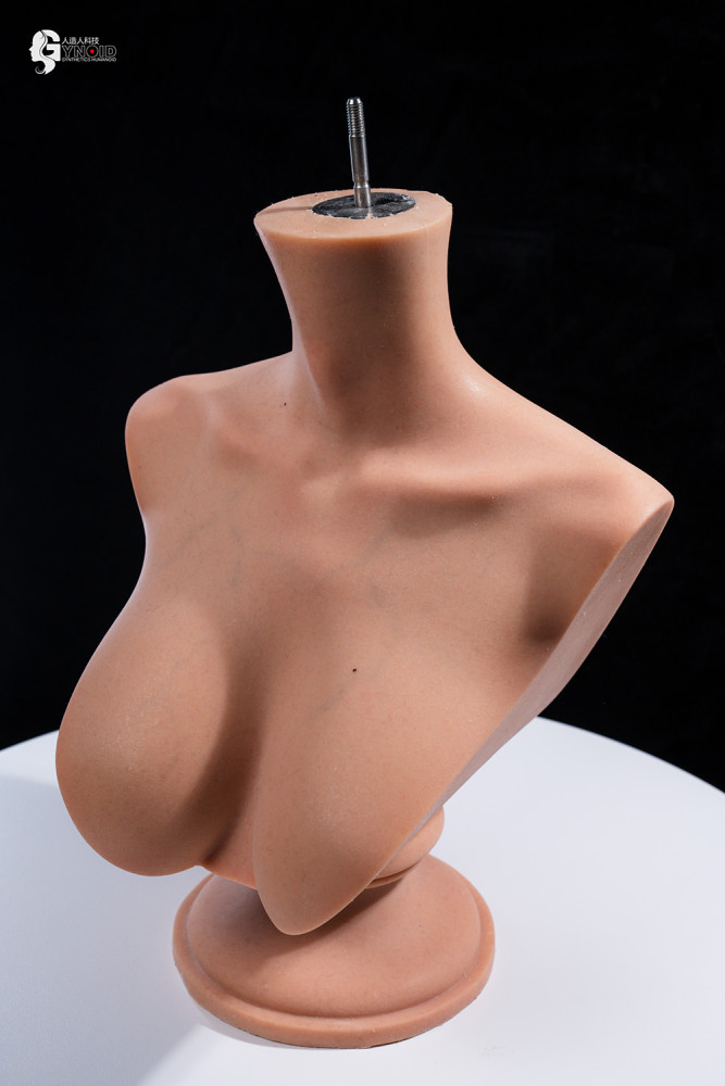 Gynoid Head Sculpt Display Stand