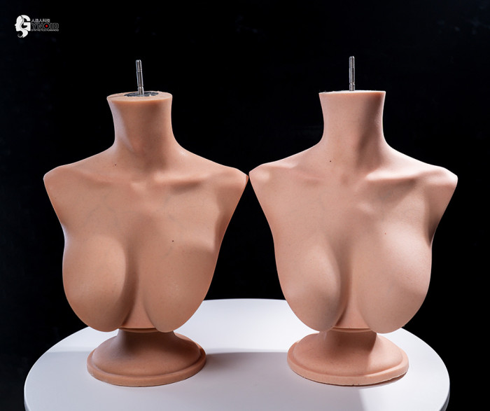 Gynoid Head Sculpt Display Stand