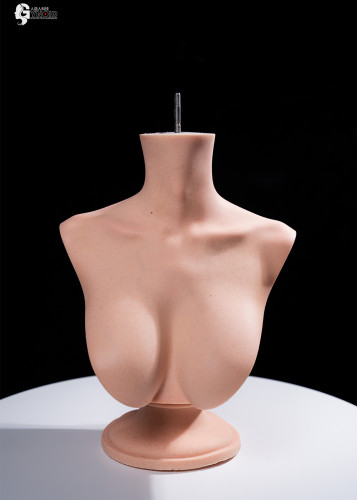 Gynoid Head Sculpt Display Stand