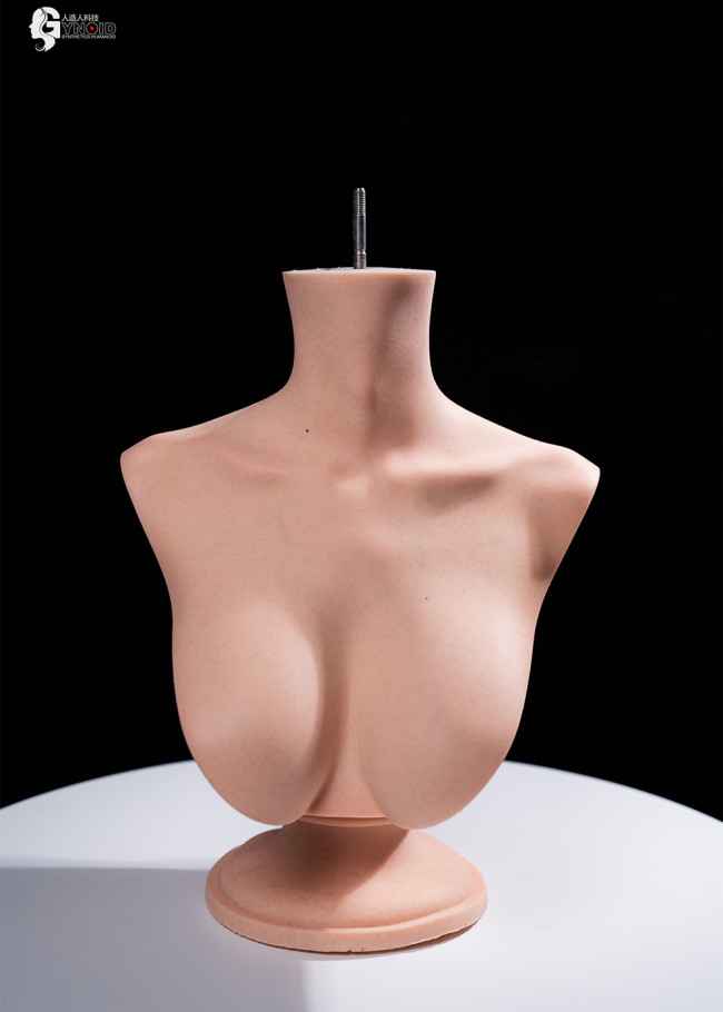 Gynoid Head Sculpt Display Stand