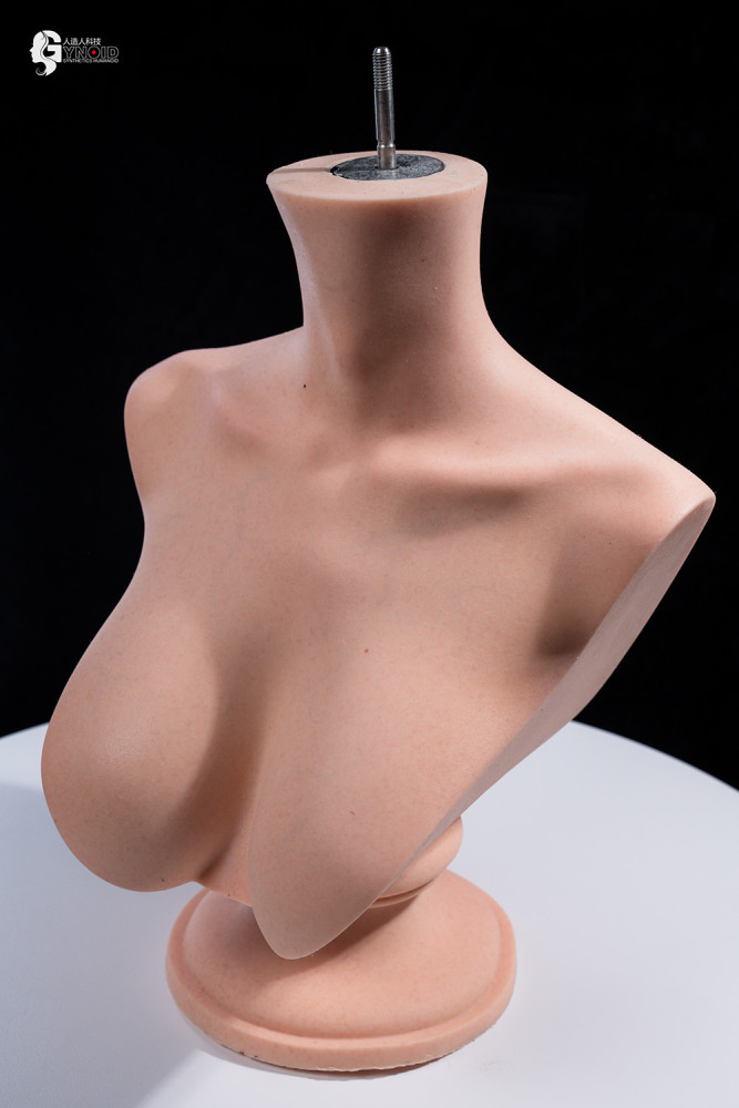 Gynoid Head Sculpt Display Stand