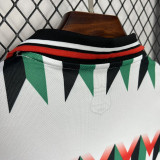 Palestina FC Red White Retro Soccer Jersey