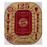 2024-25 Bayern 125th Anniversary Fans Soccer Jersey