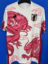 2025-26 Japan Special Edition Fans Soccer Jersey (粉龙)