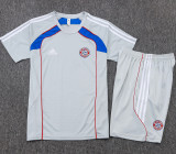 2025-26 Bayern Grey Training Short Suit #D25128