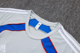 2025-26 Bayern Grey Training Short Suit #D25128