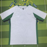 2025-26 Sporting Lisbon Special Edition Training shirts (狮头)
