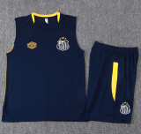 2025-26 Santos FC Royal blue Tank top and shorts suit #D25184