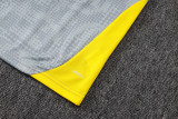 2025-26 Dortmund Light gray Tank top and shorts suit #D25234