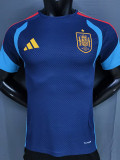 2026-27 Spain Royal blue Player Version Training shirts