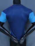 2026-27 Spain Royal blue Player Version Training shirts