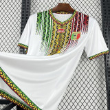 2026 Mali Home Fans Soccer Jersey (吊花图)