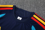 2026-27 Spain Royal blue Training Short Suit