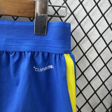 2026-27 Colombia Blue Player Version Training Shorts Pants (球员短裤)