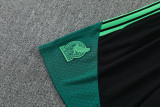 2026-27 Mexico Green Training Short Suit