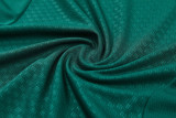2026-27 Italy Green Training Short Suit