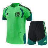 2026-27 Mexico Green Training Short Suit