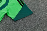 2026-27 Mexico Green Training Short Suit