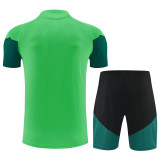 2026-27 Mexico Green Training Short Suit