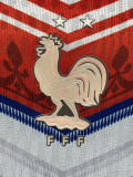 2026-27 France White Red Special Edition Player Version Training shirts