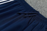 2026-27 Bayern Royal blue Jacket Tracksuit