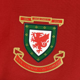 2026 Wales 150th Anniversary Fans Soccer Jersey