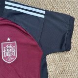 2026-27 Spain Brown Goalkeeper Fans Soccer Jersey