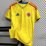 2026-27 Colombia Home 1:1 Fans Soccer Jersey