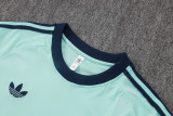 2026-27 Germany Light green Training Short Suit #J26043