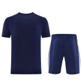 2026 AD15 Royal blue Training Short Suit