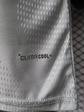2026-27 Algeria Grey Special Edition Player Version Training shirts