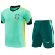 2026-27 Brazil Jordan Light green Training Short Suit