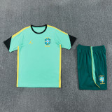 2026-27 Brazil Jordan Light green Training Short Suit