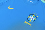 2026-27 Brazil Light blue Training Short Suit