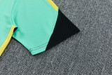 2026-27 Brazil Jordan Light green Training Short Suit