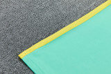 2026-27 Brazil Jordan Light green Training Short Suit