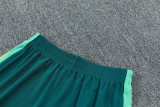 2026-27 Brazil Jordan Light green Training Short Suit