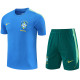 2026-27 Brazil Light blue Training Short Suit