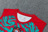 2026-27 Portugal Red Green Tank top and shorts suit