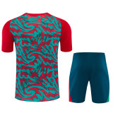 2026-27 Portugal Red Green Training Short Suit