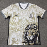 2026-27 England Khaki Special Edition Training shirts (狮)