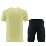 2026 AD15 Yellow Training Short Suit
