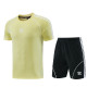 2026 AD15 Yellow Training Short Suit