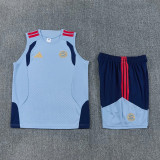 2026-27 Bayern Gray Blue Tank top and shorts suit